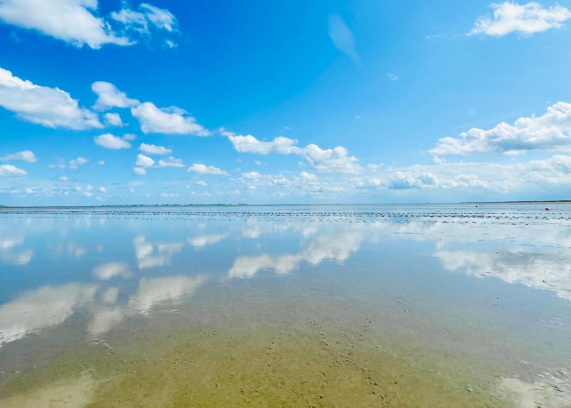 Fewo Frieda'S Platz Am Meer ダンガスト エクステリア 写真